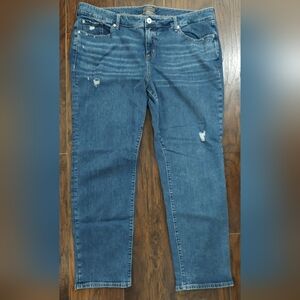 NWOT Torrid Boyfriend Straight jeans sz 22T